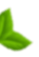 آمار کسب و کار